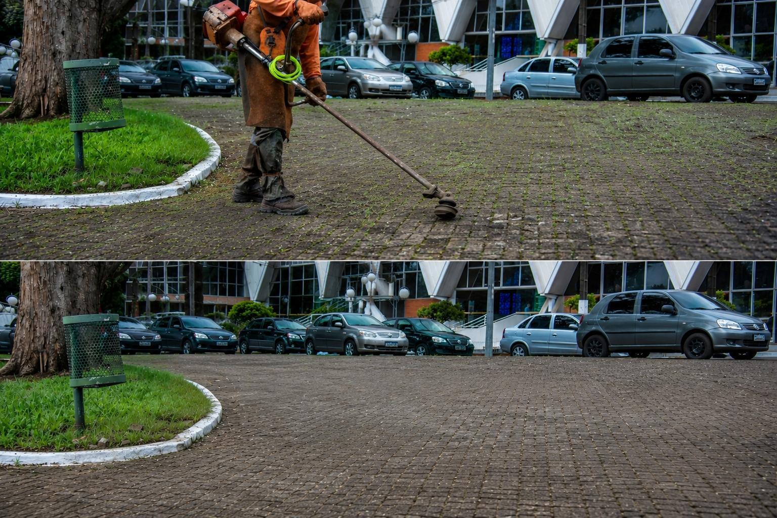 Onkruidverwijdering