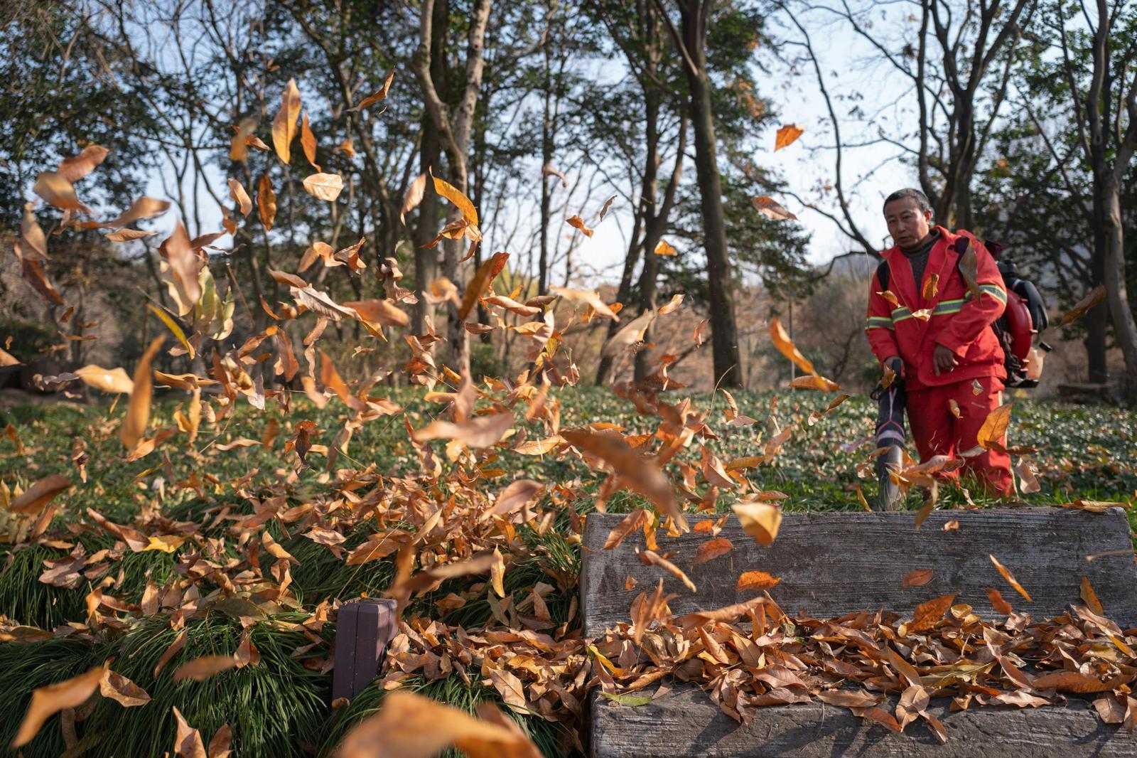 Bladeren Verwijderen
