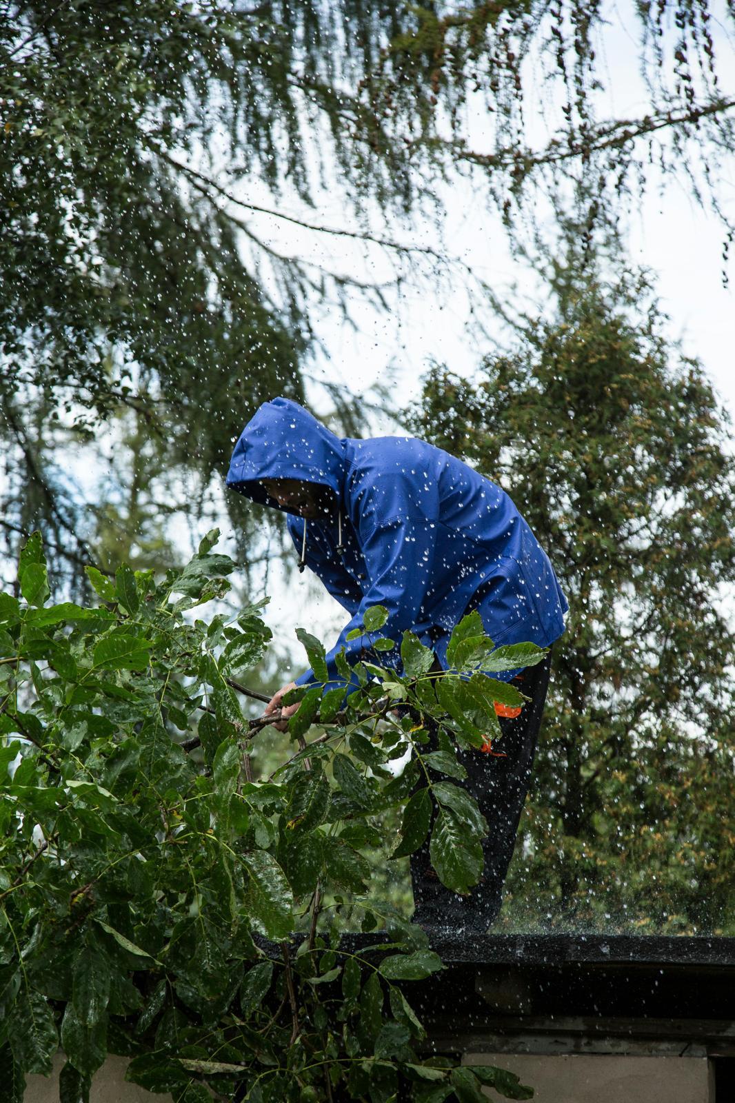 Seizoensgebonden Tuinonderhoud
